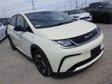2023 BYD Dolphin (electric)