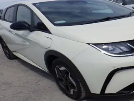 2023 BYD Dolphin (electric) — view 2