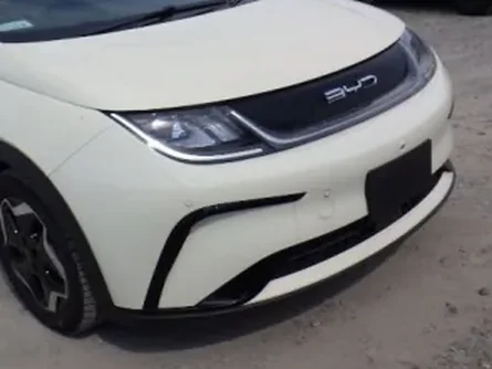 2023 BYD Dolphin (electric) — view 3