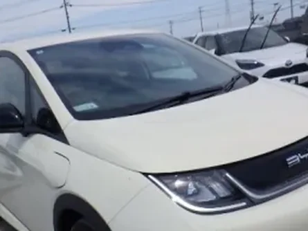 2023 BYD Dolphin (electric) — view 4